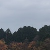 今朝の景色