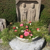 奈良「元興寺」の椿