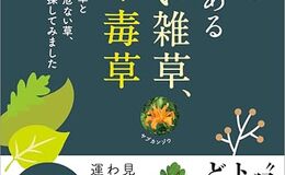 記事を見る