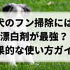 犬のフン掃除対策は漂白剤が最強？すぐ試せる安全で効果的な使い方ガイド