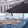 【しん散歩（190）…西武新宿線・田無駅南口線路脇！】　