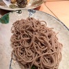 暑いのでたまにはお蕎麦