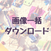 エロ画像の収集にも便利！画像一括ダウンロードツールを紹介するよ！（ウェブサイト版、Twitter版）