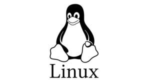 Linuxカーネルを読解してパケットキャプチャツールを作ろう！カーネルモジュール開発入門！