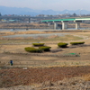 橋下の池（神奈川県座間）