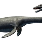 プレシオサウルス：ジュラ紀の海を泳ぐ謎多きハンターの真実