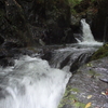 水根沢遡行と鷹ノ巣山登山①