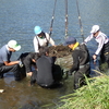 〈新美貴資の「めぐる。(63)」〉石倉かごのモニタリング調査に同行!!　岐阜県山県市の美山漁協が実施