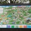 またまた行ってきました初心者高尾山！登りは6号路、下りは3合路〜2号路。