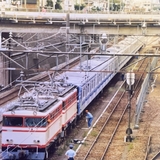 西武池袋線とJR武蔵野線が直通運転？──2028年度に向けた新たな動き（2025/6/9プレス）