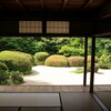 新緑の散策