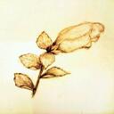 浮かれ浮世の憂さ晴らし