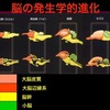 瞑想について