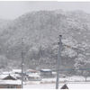 今日も雪でした