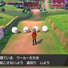 ポケモン剣プレイ中２