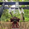 恋愛成就や開運出世のパワースポット♪静岡県熱海市の来宮神社さんの三峯神社さん