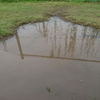 またまたまた雨で中止