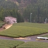一区画だけ黄緑色に！