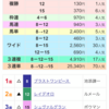 【振り返り🕶】🎯有馬記念〜やはりこのままでは終わらなかった〜