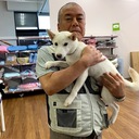 柴犬♂ばん太の思ひ出