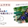 【2025年】国蝶オオムラサキ🦋が清瀬市で見られる！期間は夏のわずか約1か月なのでお早めに