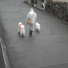 〇雨で　パパと散歩