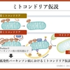 パーキンソン病を科学する３ー②～ミトコンドリアの異常がカギ？