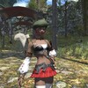 【ゲーム】【PS4】【FF14】園芸士（ギャザラー？）をちょっとやってみた。