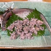 再びの夜明茶屋で筑後川の恵み、シーズンのエツ刺身を食べたおじさん