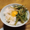 2023年の山葵も終わる