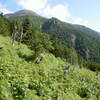「快挙！」ウチの山岳部の2006年夏休み