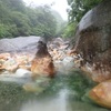 ササユリに逢いに大崩山へ