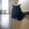 スピ練失敗②