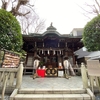 小野照崎神社ライトワーク