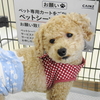 いつもの週末