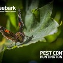 Treebark Termite and Pest Control