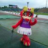 10/14　第37節　ロアッソ熊本戦　（京都・西京極競技場）
