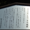 南部梅林に　行って来ました