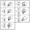 認知発達の鍵（支援教育教材その２）