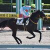 暮れの出走を目指し、２２日の検疫で栗東・藤岡厩舎へ帰厩しています。☆メッセージソング