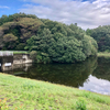 嶺公園の観賞池（群馬県前橋）