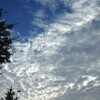 夏も終わり