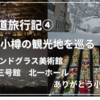 【北海道観光旅行記④】雪の小樽と小樽芸術村のステンドグラス美術館で最後まで北海道を堪能！