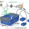 ベランダ水耕栽培⑫　水耕栽培装置の初期費用と作り方について