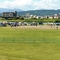 2025-07-14　夏季県大会（経過①）
