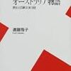  激しい雷雨
