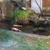 今日は晴れ！早朝気温は２４℃、日中は３３℃？まあまあの天気かな？