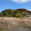 梅北城（宮崎県都城市梅北町）