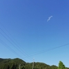 今年の我が家のアジサイ　　　　　　　　　　　　　　　　　　　　　　　　　　　　小さいけれど素敵✨