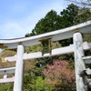 Nikon Z6IIとNIKKOR Z 40mm f/2で三峯神社を撮ってきた。（1/2）